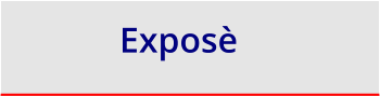 Exposè